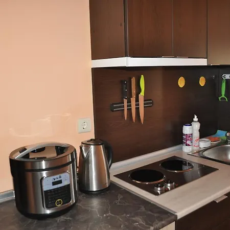 Svs Seastar Apartment *
